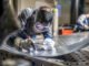 Skilled Jobs in Ireland